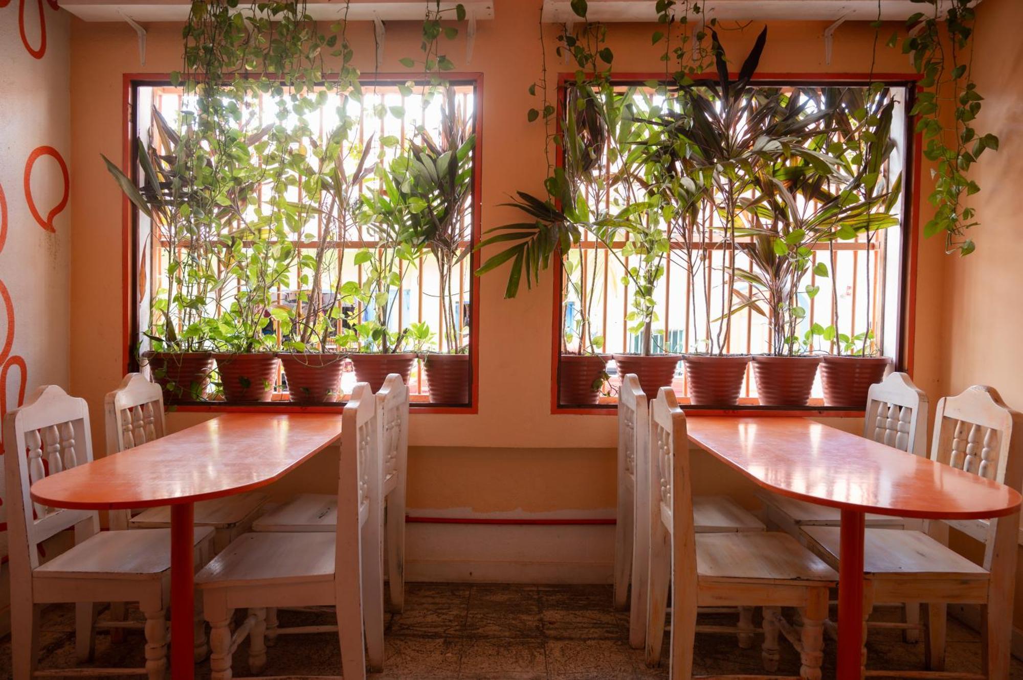 Macarena Hostel فلوريس المظهر الخارجي الصورة