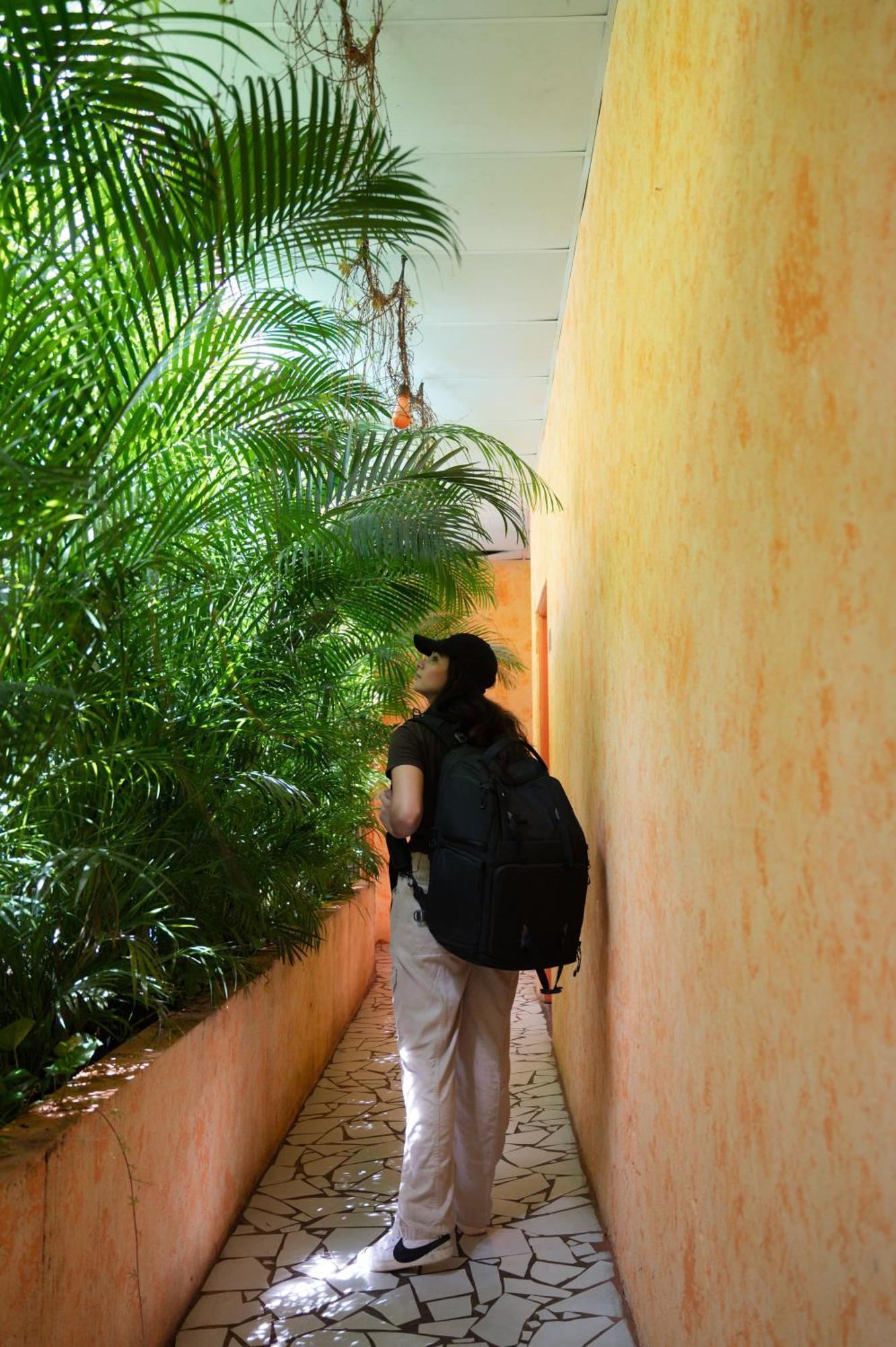 Macarena Hostel فلوريس المظهر الخارجي الصورة